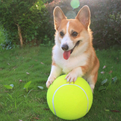 DogBall™ - Grote tennisbal voor honden