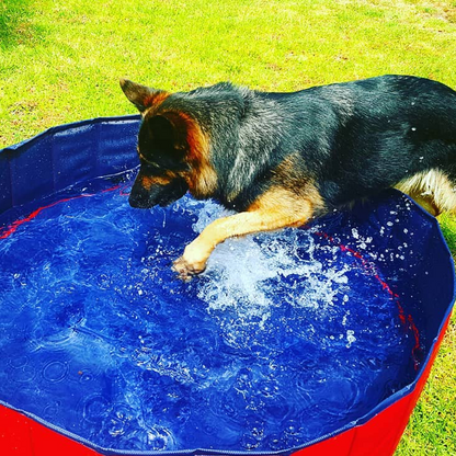 Portable Pet Pool™ - Versla de hitte deze zomer!