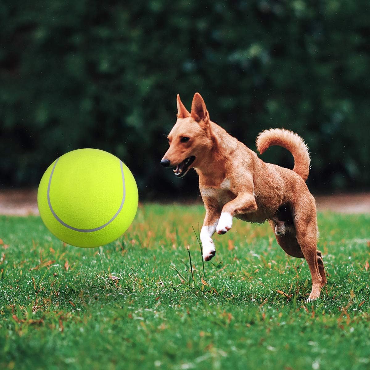 DogBall™ - Grote tennisbal voor honden