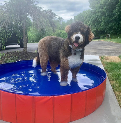 Portable Pet Pool™ - Versla de hitte deze zomer!